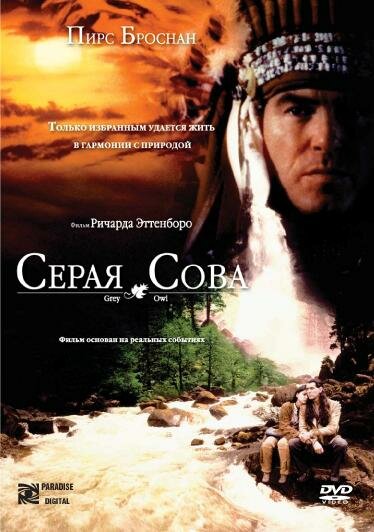  Серая сова  постер