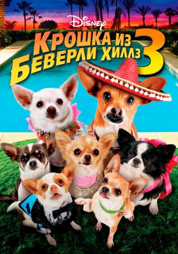  Крошка из Беверли-Хиллз 3  постер