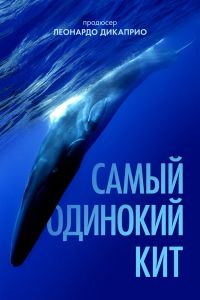  Самый одинокий кит на планете: в поисках Пятидесятидвухгерцового кита  постер