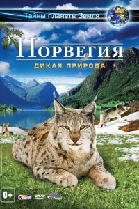  Норвегия 3D: Дикая природа  постер