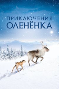  Приключения оленёнка  постер