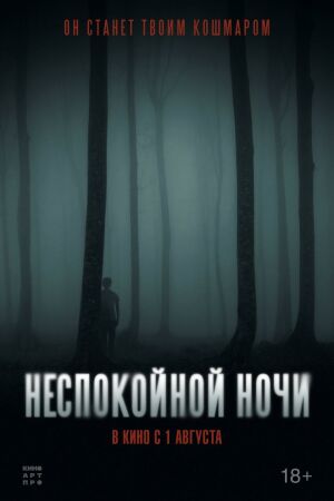 Неспокойной ночи постер